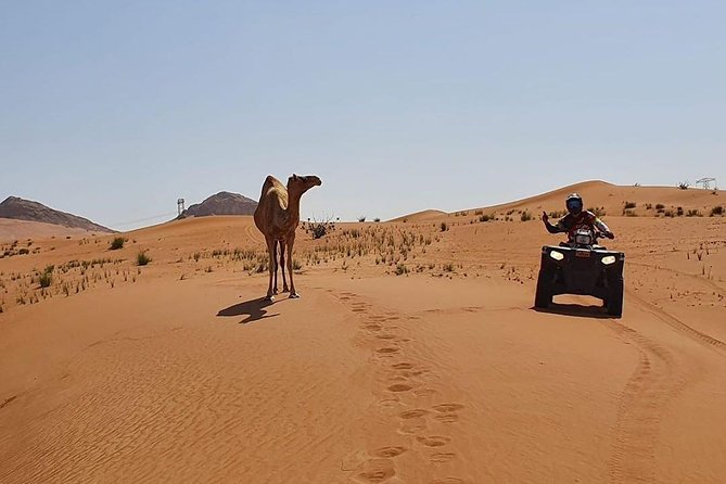 Desert Safari Dubai (PREMIUM VIP) - Live BBQ Dinner and Entertainment: The Part You’ll Actually Remember