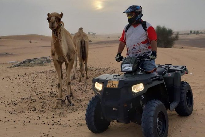 Desert Safari Dubai (PREMIUM VIP) - Dubai Pickup to Desert Base Camp: Comfort First, Then Chaos