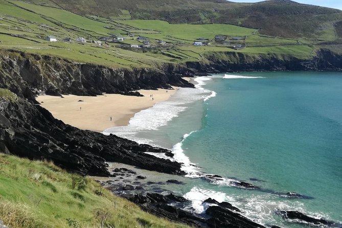 Dingle Town & Peninsula Private Chauffeur Driven Day Tour From Killarney Luxury - Dingle Town First: Coffee, Quick Strolls, and Aidan the Sheep Farmer