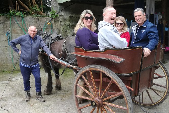 Dingle Town & Peninsula Private Chauffeur Driven Day Tour From Killarney Luxury - The Driver Makes the Day: When Joseph (Joe) Sets the Tone