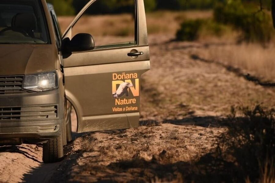 Discover Doñana & Iberian Lynx: Premium Nature Tour - Conservation lessons you’ll remember after the drive