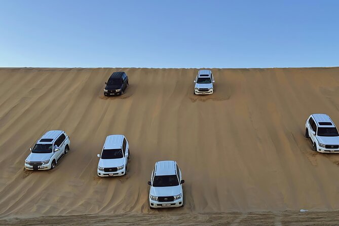 Doha: Luxury Desert Safari, Quad Bike & Sandboarding - Camel Area Break at Sealine Beach: Tea, Quiet Minutes, and Photo Opportunities
