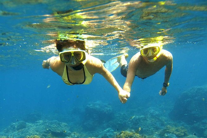 Dolphin House Royal sea Trip Luxury Boat With Transfer - Hurghada - Hotel pickup and the 8:00am start: timing that matters