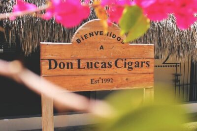 Don Lucas Cigar Factory & Store + Premium Rum Tasting (3 hours) - Chocolate and coffee museums: tasting stops with an everything-is-hot vibe
