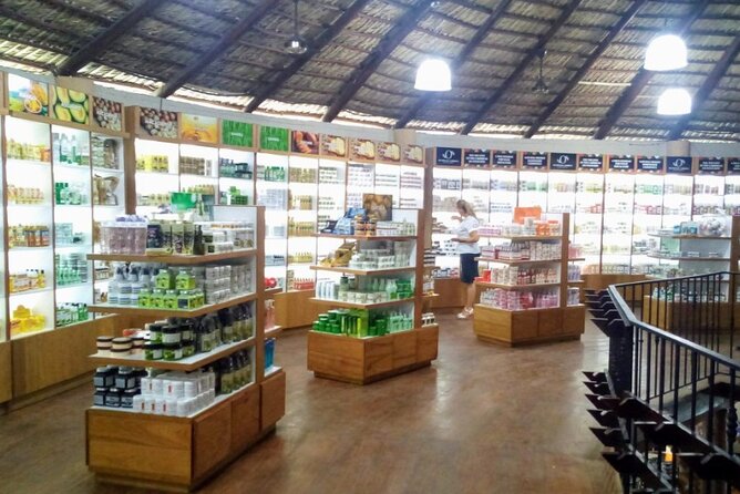 Don Lucas Cigar Factory & Store + Premium Rum Tasting (3 hours) - Should you book this tour?