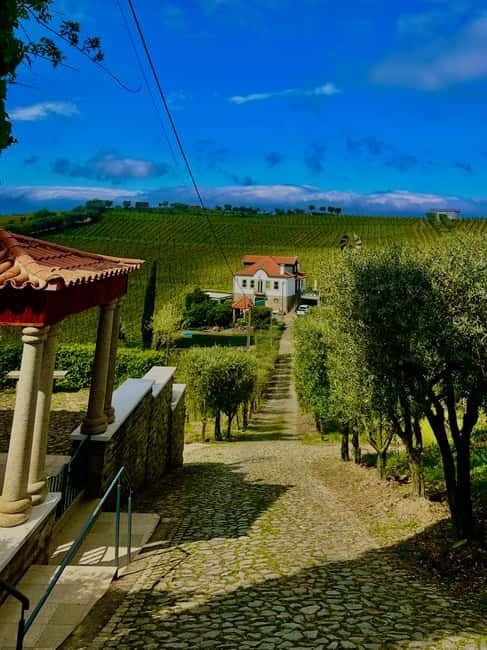 DOURO PREMIUM - Price and Value: What $199 Gets You in Real Terms