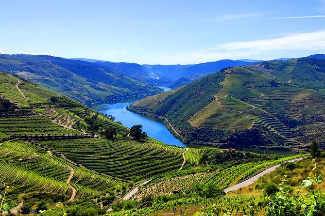 DOURO TOURS - Premium Tour - Douro Tours starts at the Pinhão river dock