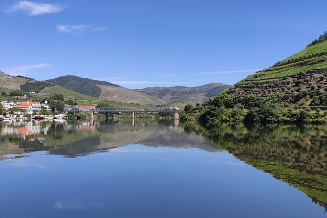 DOURO TOURS - Premium Tour - Miradouro time: panoramic views with a 30-minute window
