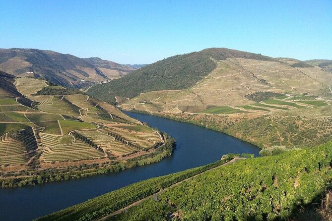 DOURO TOURS - Premium Tour - Pacing, group size, and the role of your guide