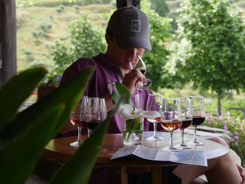 Douro Valley: Premium Port Tasting Winery Tour & River Views - Key highlights worth planning for