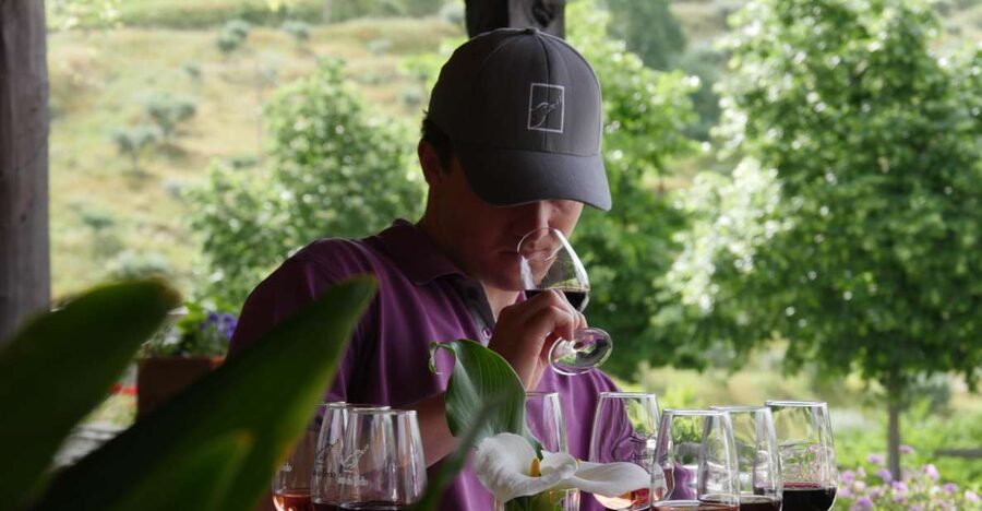 Douro Valley: Premium Port Tasting Winery Tour & River Views - Getting to Folgosa and finding the winery reception fast