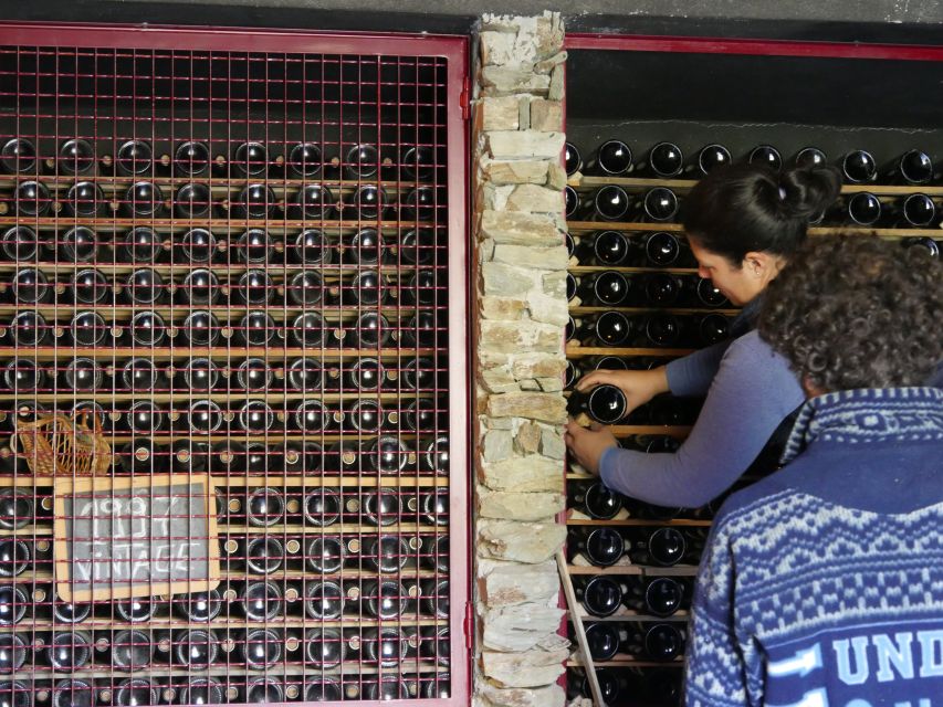 Douro Valley: Premium Port Tasting Winery Tour & River Views - Historic lagares and foot-treading: a centuries-old technique you can picture