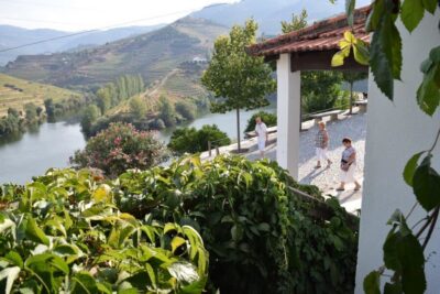 Douro Valley: Premium Port Tasting Winery Tour & River Views - Inside the 18th-century cellars: Port and DOC aging explained clearly
