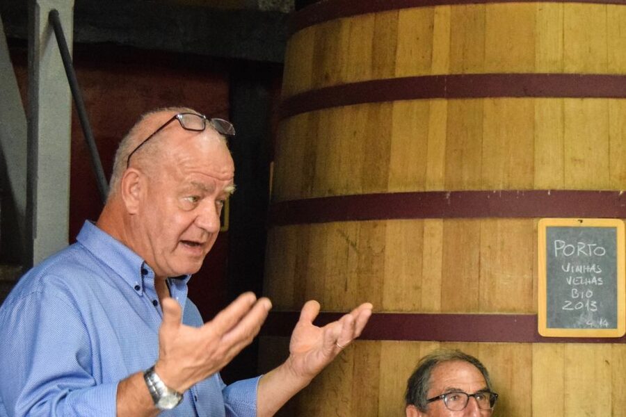 Douro Valley: Premium Port Tasting Winery Tour & River Views - Olive oil pairing with your tasting: what to expect (and what’s missing)