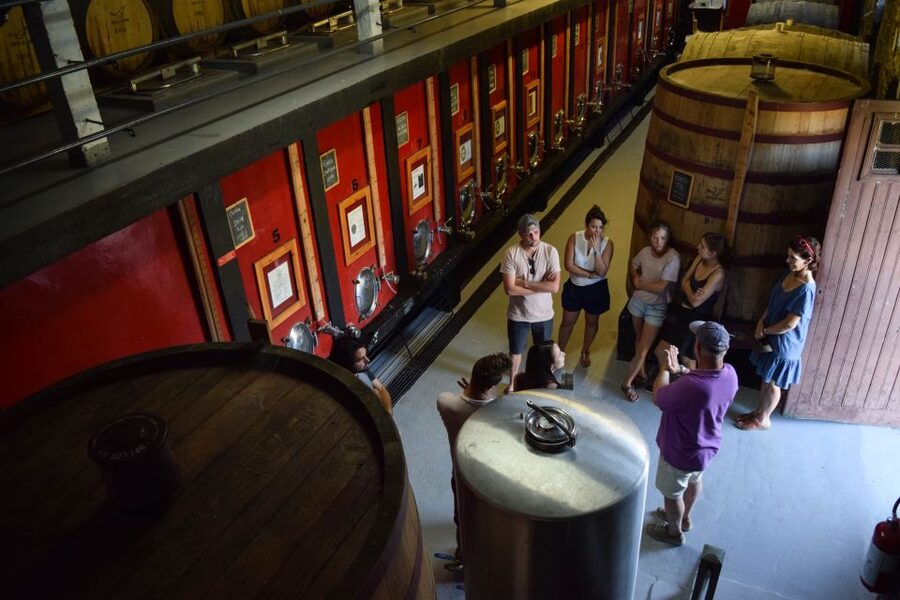 Douro Valley: Premium Port Tasting Winery Tour & River Views - Price and value: why $34 for 3 wines can be a good deal