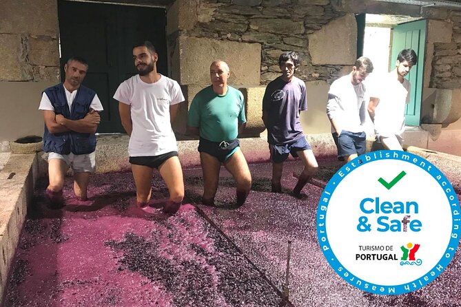 Douro Valley Premium Private - Porto to Douro Valley: how the day actually works