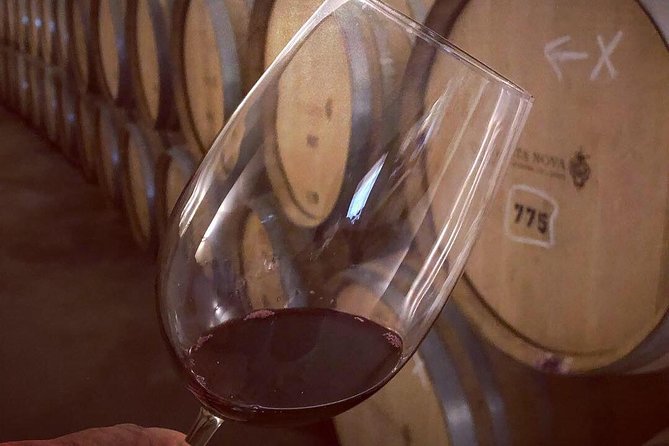 Douro Valley Premium Private - When this tour is your best match (and when it isn’t)