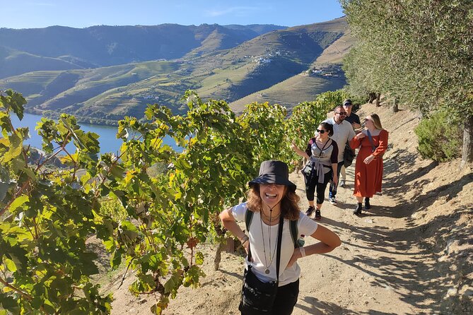 Douro Valley Premium Tours - Private Driver & Guide - Key highlights at a glance