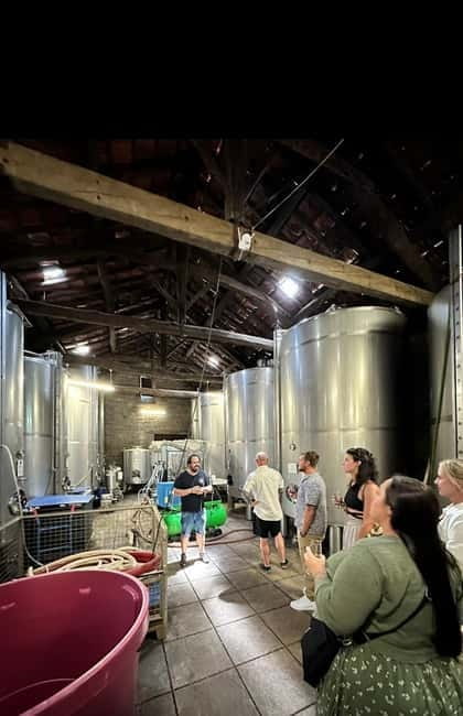 DOURO VALLEY: Premium Wine Tour, Winery Lunch & Private Boat - Douro Valley winery time: traditional production and serious tasting