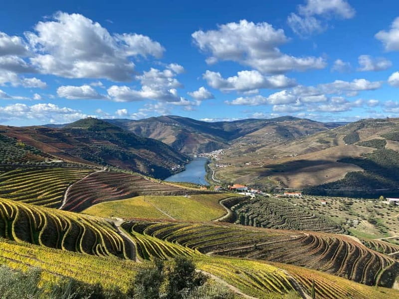 DOURO VALLEY: Premium Wine Tour, Winery Lunch & Private Boat - Who this tour suits best (and who should pass)
