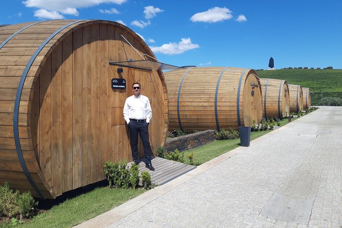 Douro Valley Private Premium Tour with Wine Tasting (1 to 4 people) - Stop 2: Lamego Wine Estate Time for Tasting and Lunch