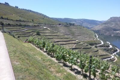 Douro Valley Private Premium Tour with Wine Tasting (1 to 4 people) - Stop 1: Amarante Monastery, Romanesque Bridge, and Regional Sweets