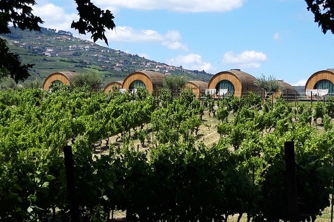 Douro Valley Private Premium Tour with Wine Tasting (1 to 4 people) - Driving the Douro on National Road 222: The Scenic Backbone