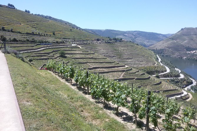 Douro Valley Private Premium Tour with Wine Tasting (1 to 4 people) - Stop 1: Amarante Monastery, Romanesque Bridge, and Regional Sweets