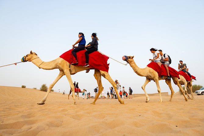 Dubai Combo:City Tour and Premium Desert Safari with all Activities - Key highlights worth planning around