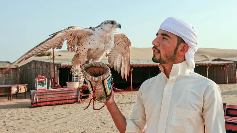 Dubai Desert Safari - Premium BBQ Dinner, Camel Ride & Shows - The Bedouin Camp Dinner: Buffet Comfort or Private Table Service