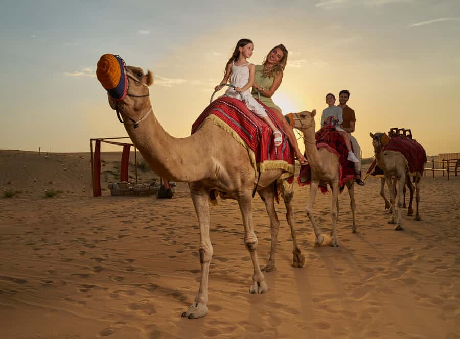Dubai: Desert Safari, Quad Bike & Premium Camp Experience - Key highlights worth centering your plans on