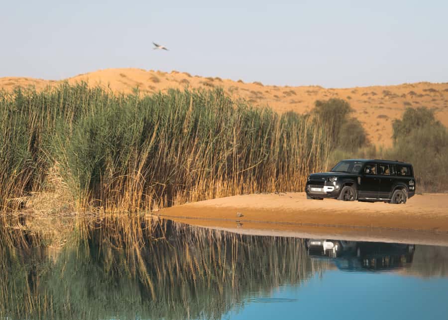 Dubai: Luxury Safari with Michelin-Curated 5-Course Dinner - Land Rover Defender Nature Drive: No Dune Bashing