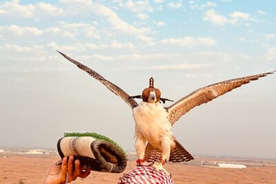 Dubai Premium Desert Safari Red Duns Camel sandbord & Premium BBQ - The 7 Hours Breakdown: How the Day Actually Flows