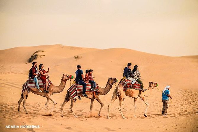 Dubai Premium Desert Safari with Live shows & Gourmet Dinner - Quick Take: Why This Safari Feels Worth It
