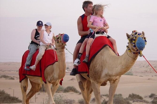 Dubai Premium Evening Desert Safari ATVs, Dinner & Shows - Sandboarding and desert photography: where the evening gets pretty