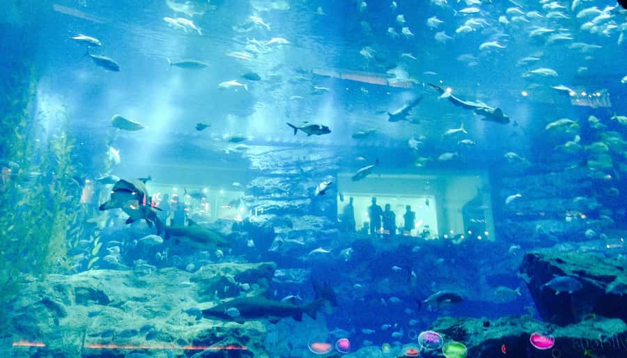 Dubai: Premium Half-Day Dubai Highlights Tour small group - Half-Day Dubai Highlights: why this route works