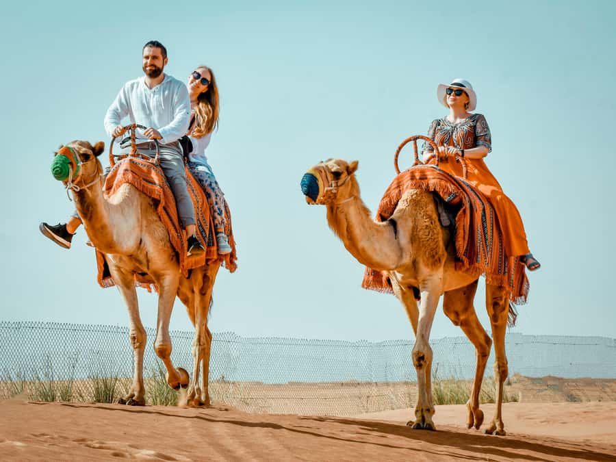 Dubai: Premium Red Dune Safari with Sandboarding & BBQ - Key Takeaways Before You Go