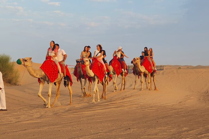 Dubai Premium Red Dunes Safari Camel Ride and BBQ Dinner - What to know before you go: timing, group size, and paid upgrades