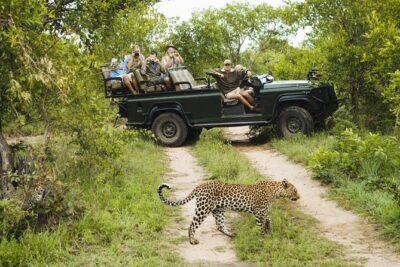 Durban: Big 5 Safari - Open Safari Vehicle at Exclusive Reserve - Manyoni Private Game Reserve: What Exclusive Access Changes