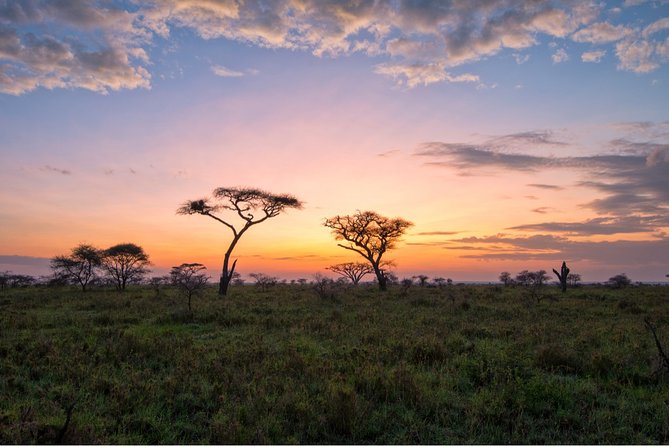 Durban: Big 5 Safari - Open Safari Vehicle at Exclusive Reserve - Price and Value: Is $231.43 Worth It?
