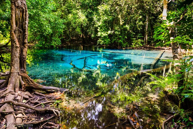 ECO Premium Jungle Hot Springs and Temple Tour - Lunch at a local Thai restaurant: what you gain by having it included