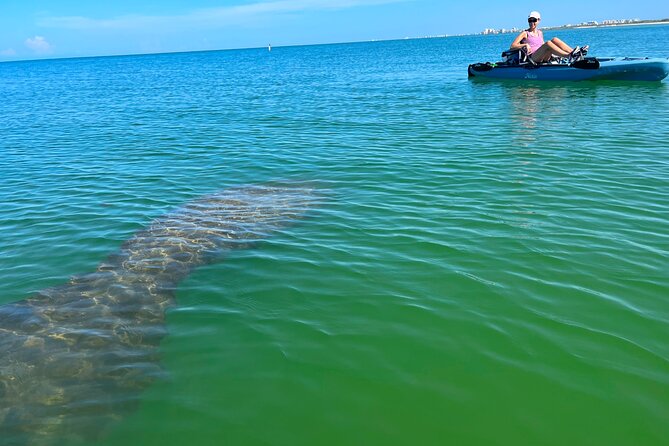 Elite Hobie Kayak Experience: Ultimate Premium Eco Adventure! - Key highlights worth your time