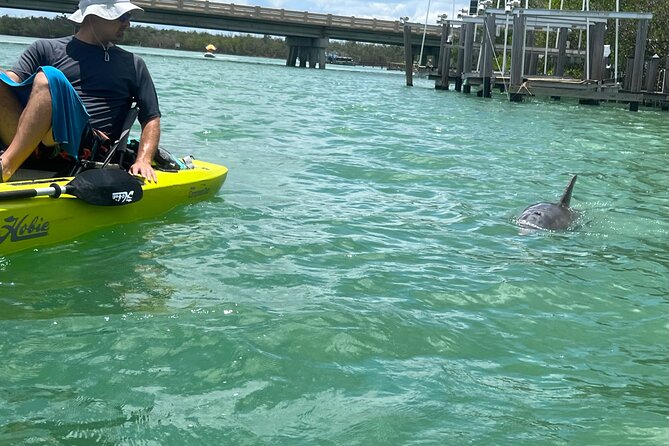 Elite Hobie Kayak Experience: Ultimate Premium Eco Adventure! - Price and Value: What $110 Buys You