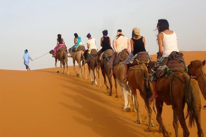 Enjoy Luxury camp 1 nights .camel Drums sandboarding.QUADS - Quad/ATV Ride in the Dunes: Big Fun, Confirm the Details