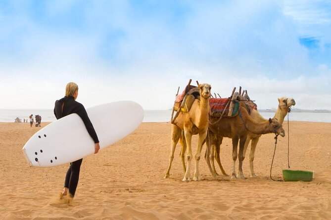 Essaouira Beach: Private Full-Day Luxury Trip from Marrakech - Why Essaouira feels like a different Morocco