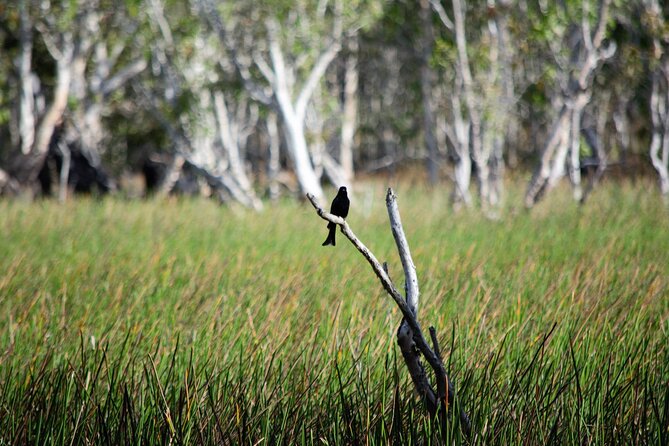 ETHICAL ADVENTURES - 1 Day premium Litchfield tour, small group - Litchfield National Park in a day: the real value of this format