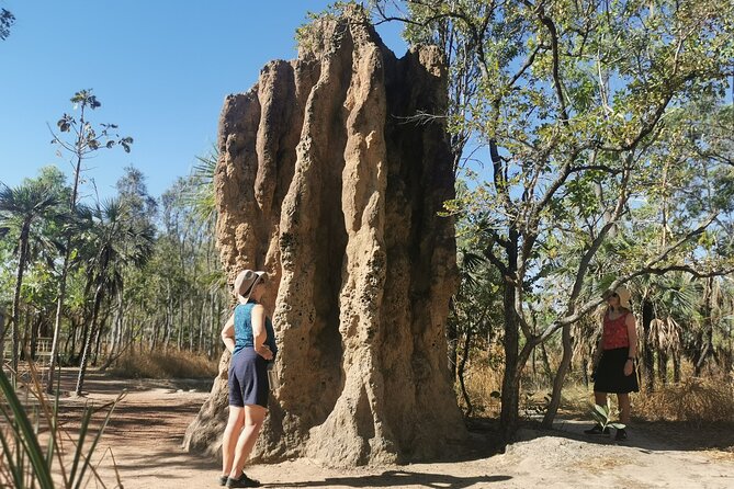 ETHICAL ADVENTURES - 1 Day premium Litchfield tour, small group - Litchfield National Park: waterfalls, viewpoints, termite mounds, and a swim-friendly route