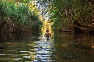 ETHICAL ADVENTURES - 1 Day premium Litchfield tour, small group - Small-group comfort from Darwin: the van, the pace, and the guide factor