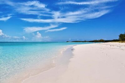 Exclusive Fly-In Premium Beach Experience from Nassau - Pig Beach at Big Major Cay: What Actually Makes It Special