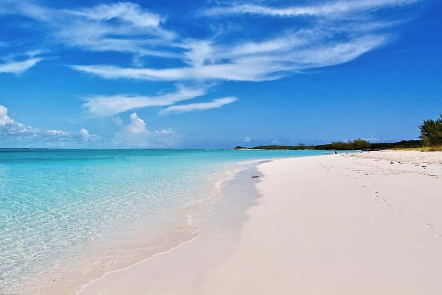 Exclusive Fly-In Premium Beach Experience from Nassau - Pig Beach at Big Major Cay: What Actually Makes It Special